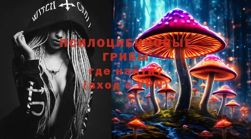 Псилоцибиновые грибы MAGIC MUSHROOMS Бузулук